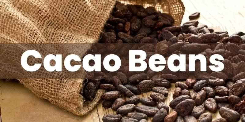 Cacao Beans: A Natural Superfood