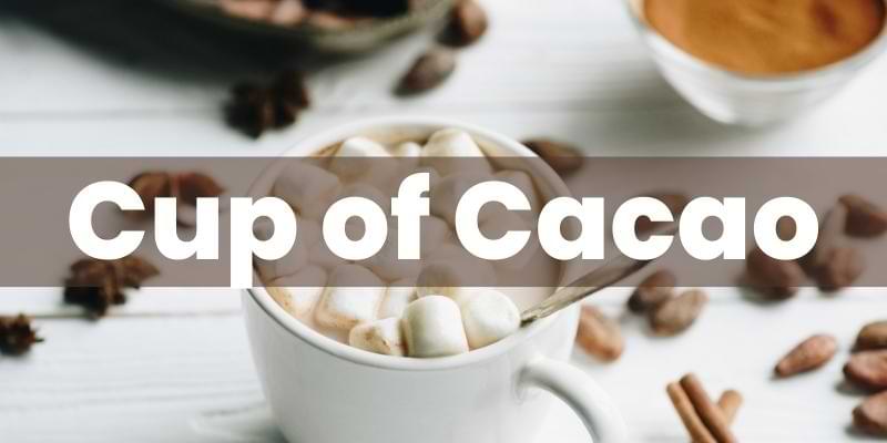 Cacao Hot Chocolate Burns Fat
