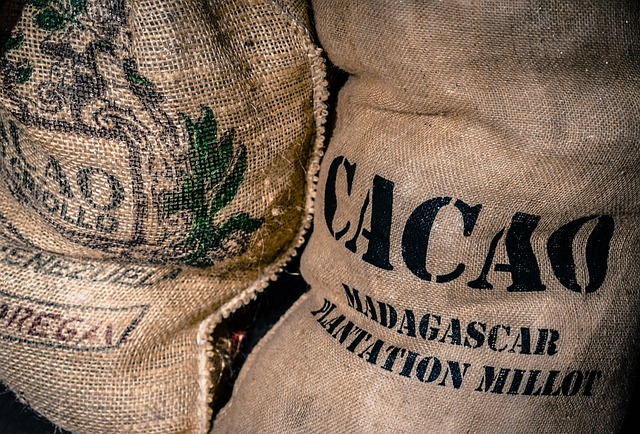 cacao fair trade