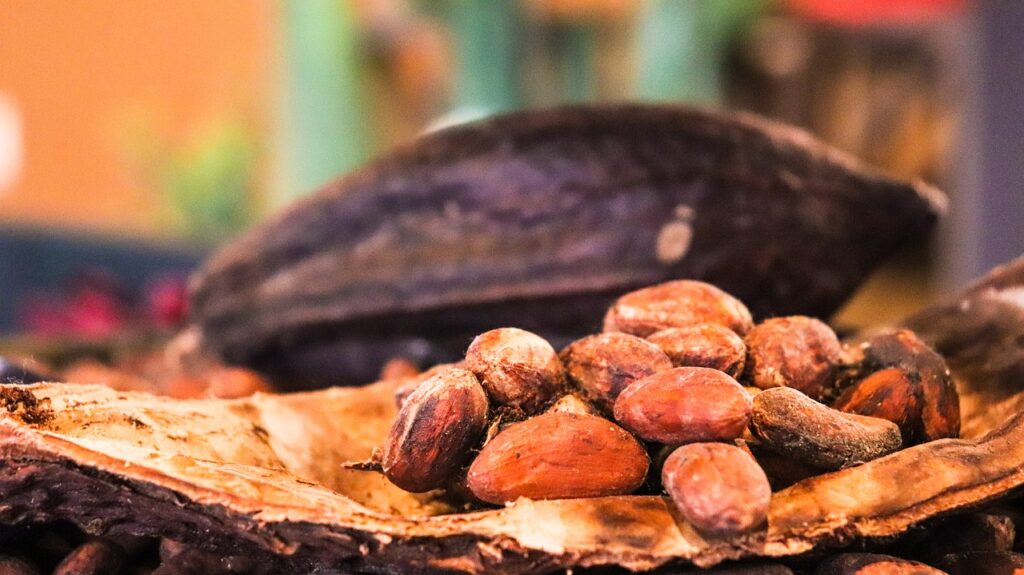 Cacao beans and health benefits of cacao