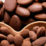 Top 10 Facts About Cacao You Need to Know